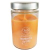 Candle Art Άρωματικό Κερί 72h 370ml #Πορτοκάλι