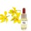 Υλάνγκ Υλάνγκ  (15 ml)