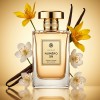 Numéro 5N for Women (χύμα άρωμα) – Τύπου No 5