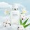 Cloud Essence Women (χύμα άρωμα) – Τύπου Dove