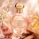 Fleur de Lumière Unisex (χύμα άρωμα) – Τύπου Freedom Musk Bouquet | 27