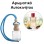 Αρωματικό Αυτοκινήτου 4ml - Master Fresh Women