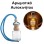 Αρωματικό Αυτοκινήτου 4ml - Aurelius Homme