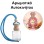 Αρωματικό Αυτοκινήτου 4ml - Flowerfuse Women