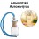 Αρωματικό Αυτοκινήτου 4ml - Fiji Essence Women