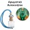 Αρωματικό Αυτοκινήτου 4ml - Sylva Eden Women