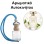 Αρωματικό Αυτοκινήτου 4ml - Pure Gardenia Women