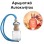 Αρωματικό Αυτοκινήτου 4ml - Spirited Twill Women