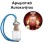 Αρωματικό Αυτοκινήτου 4ml - Ideal Intense for Her