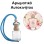 Αρωματικό Αυτοκινήτου 4ml - Flirt Essence Women
