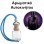 Αρωματικό Αυτοκινήτου 4ml - Black Orion Dark Women