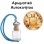 Αρωματικό Αυτοκινήτου 4ml - Goddess Woman Intense
