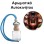 Αρωματικό Αυτοκινήτου 4ml - Mystery Paradox Intense Women