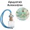 Αρωματικό Αυτοκινήτου 4ml - Jasmine Flower Femme