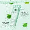 Beauty of Joseon Green Plum Refreshing Cleanser 100ml – Καθαριστικό Gel Προσώπου με Πράσινο Δαμάσκηνο & Mung Bean για Ήπιο Καθαρισμό, Ενυδάτωση & Ενίσχυση Φραγμού