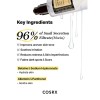 COSRX Advanced Snail 96 Mucin Power Essence 100ml – Essence Προσώπου με 96,3% Έκκριμα Σαλιγκαριού για Ενυδάτωση, Λάμψη & Ενίσχυση Φραγμού