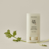 Beauty of Joseon Matte Sun Stick: Mugwort+Camelia SPF50+ PA++++ 18g – Αντηλιακό Στικ Προσώπου για Ματ Τελείωμα, Έλεγχο Λιπαρότητας & Προστασία UV